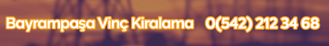 bayrampaşa vinç kiralama