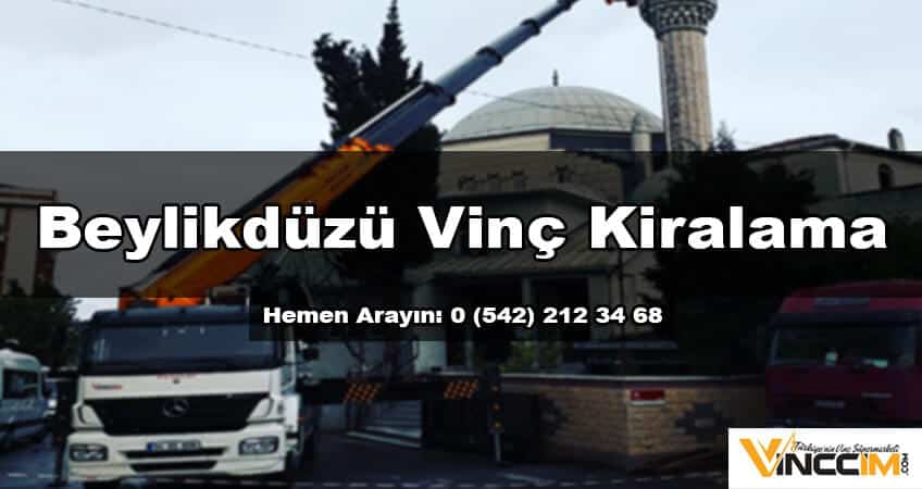 beylikdüzü vinç kiralama